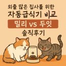 고양이 자동 급식기 추천｜밀리 vs 두잇 직접 써본 후기 비교