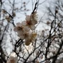 백운공원 배드민턴장 이미지