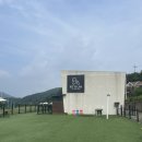 놀자멍 애견# 네이버블로그