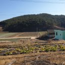 구지농장 이미지