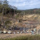 안면도쥬라기박물관 이미지