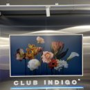 클럽 인디고 당산점 이미지