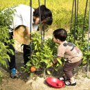 주완농장 이미지