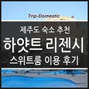 스위트피아오 티스토리