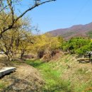 남당한옥 이미지