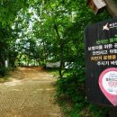 노작공원(오산천변) 티스토리