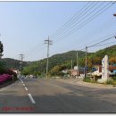 앵산꾀꼬리길 | 거제북지맥 4차 (장터고개~개안고개)