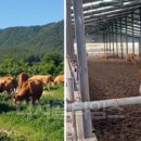 중우농장 이미지