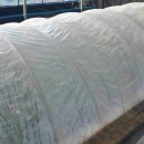 한덕목장 이미지