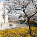 관고리5층석탑 이미지