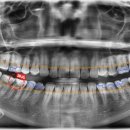 서울용한치과의원 이미지