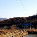 내강리 강촌 이미지