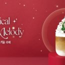 할리스세종 이미지