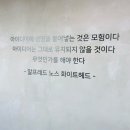 콘텐츠디자인랩 | 일러스트레이터 강사 나만의 캐릭터 굿즈 디자인 2회차 후기 강원콘텐츠코리아랩