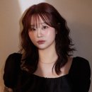 헤어보그 이미지