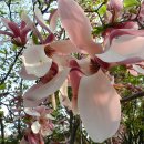 평촌고등학교 이미지