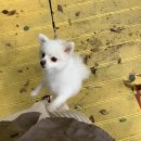 용지동힐링펜션 이미지