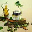 뷰티화장품 이미지