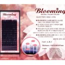 다움PC 네이버블로그