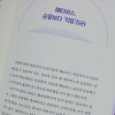 메타비스