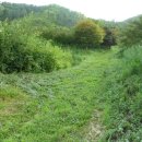 춘호농장 이미지