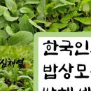 농부심 이미지