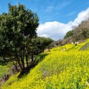 색달동-14 이미지