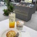 베스트세심태권도 이미지