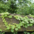 하사마을 이미지