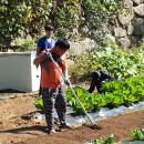 도연농장 이미지