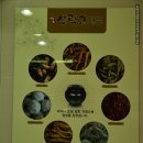 약령시명가담우리