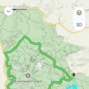 [우천취소] 2024년 2월 25일 서른여덟번째 : Riverhead Forest loop track 이미지