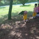 영등체육공원 이미지