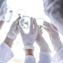 클라리언트코리아 주식회사 이미지