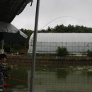 계룡 낚시터 이미지