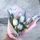 사파동369 이미지