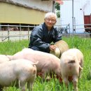 돼지와 함께 한 40년……고급 식당 열어 돼지 품격 올리고 이미지
