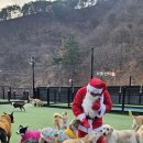 태담이네 하우스 이미지