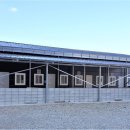 도그파파 이미지