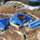 태안소방서호스릴-31 | ‘우리 섬 안전지킴이’ 주택 전체 연소 막았다