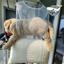 햇빛세탁 이미지