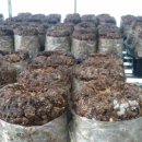 산여울농장 이미지