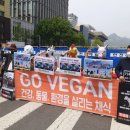 채식과환경 티스토리