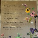 무늬카레 이미지