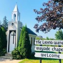 원대농장 이미지