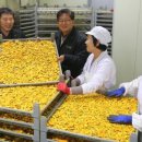 진도농협 울금가공사업소 이미지