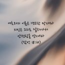 토요묵상 -안전하고 완전함 이미지