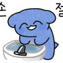 늘 너에개 이미지