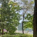 풍동도서관 | 식골 풍동 배드민턴장 방문 후기