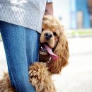 할수있다 국어2 이미지